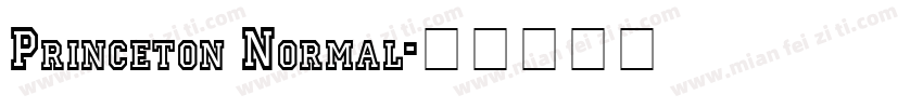 Princeton Normal字体转换